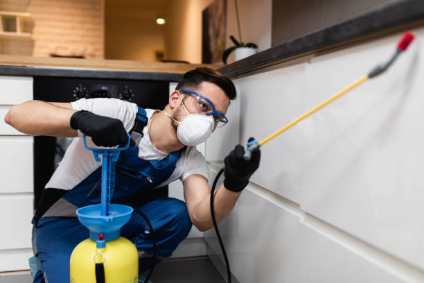 Best Termite Control Services  in Ranchettes, WY