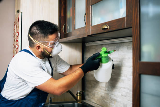 Best Residential Pest Control  in Ranchettes, WY