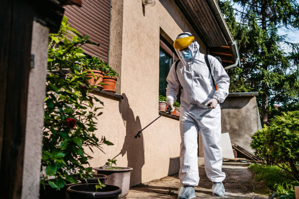 Best Ant Control Services  in Ranchettes, WY