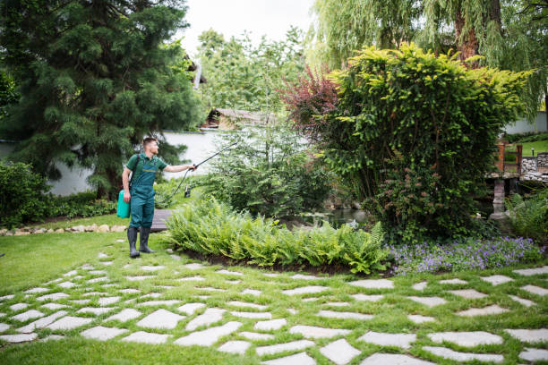 Best Local Pest Control Services  in Ranchettes, WY