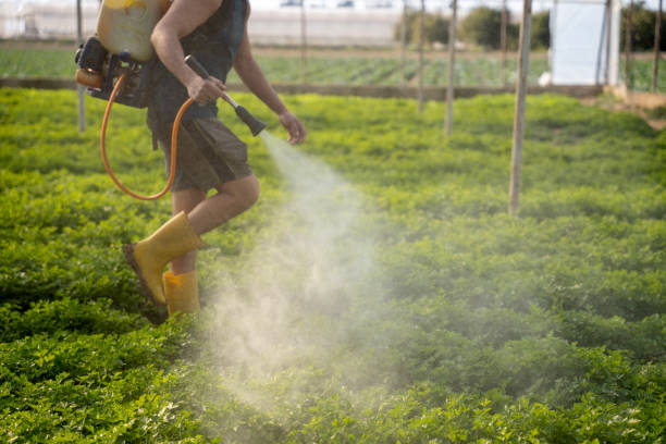 Best Pest Prevention Services  in Ranchettes, WY