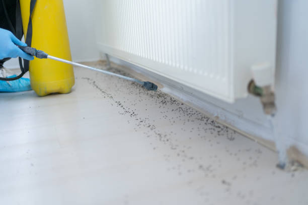 Best Pest Control Cost  in Ranchettes, WY