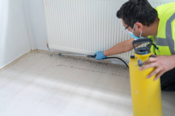 Wasp Removal Services in Ranchettes, WY