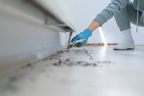 Best Emergency Pest Control  in Ranchettes, WY
