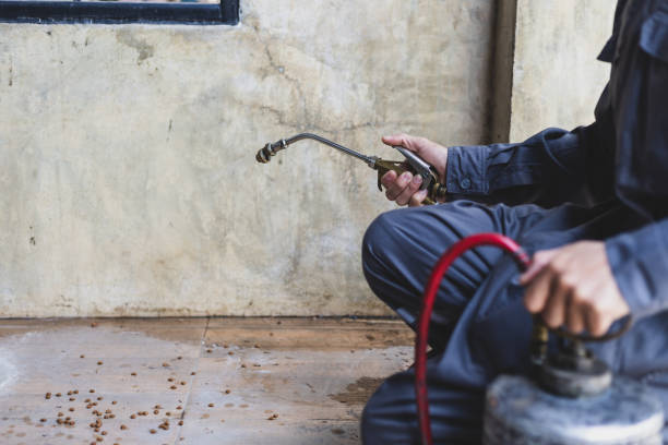 Best Flea Control Services  in Ranchettes, WY
